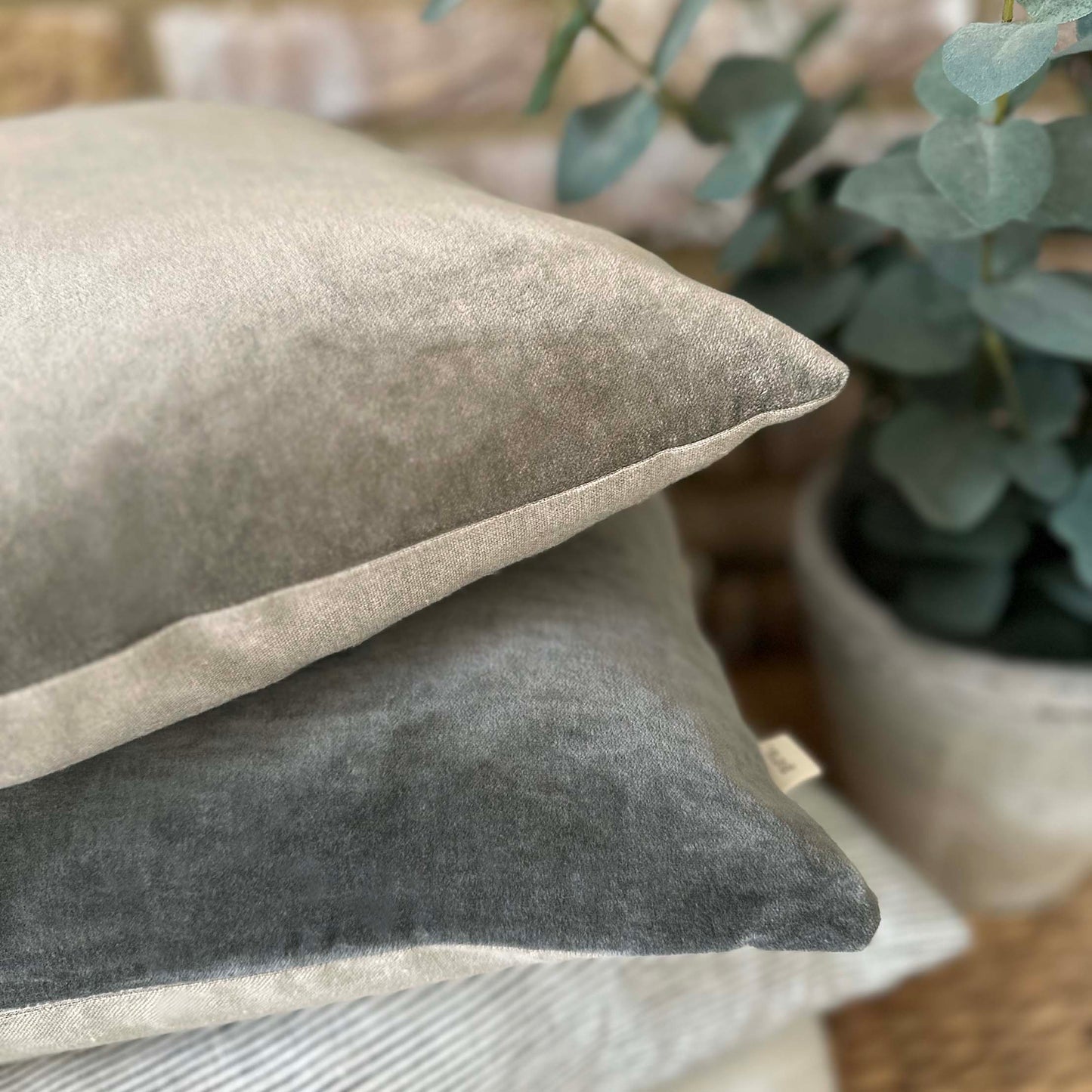 The Velvet And Linen Cushion Mole Grey