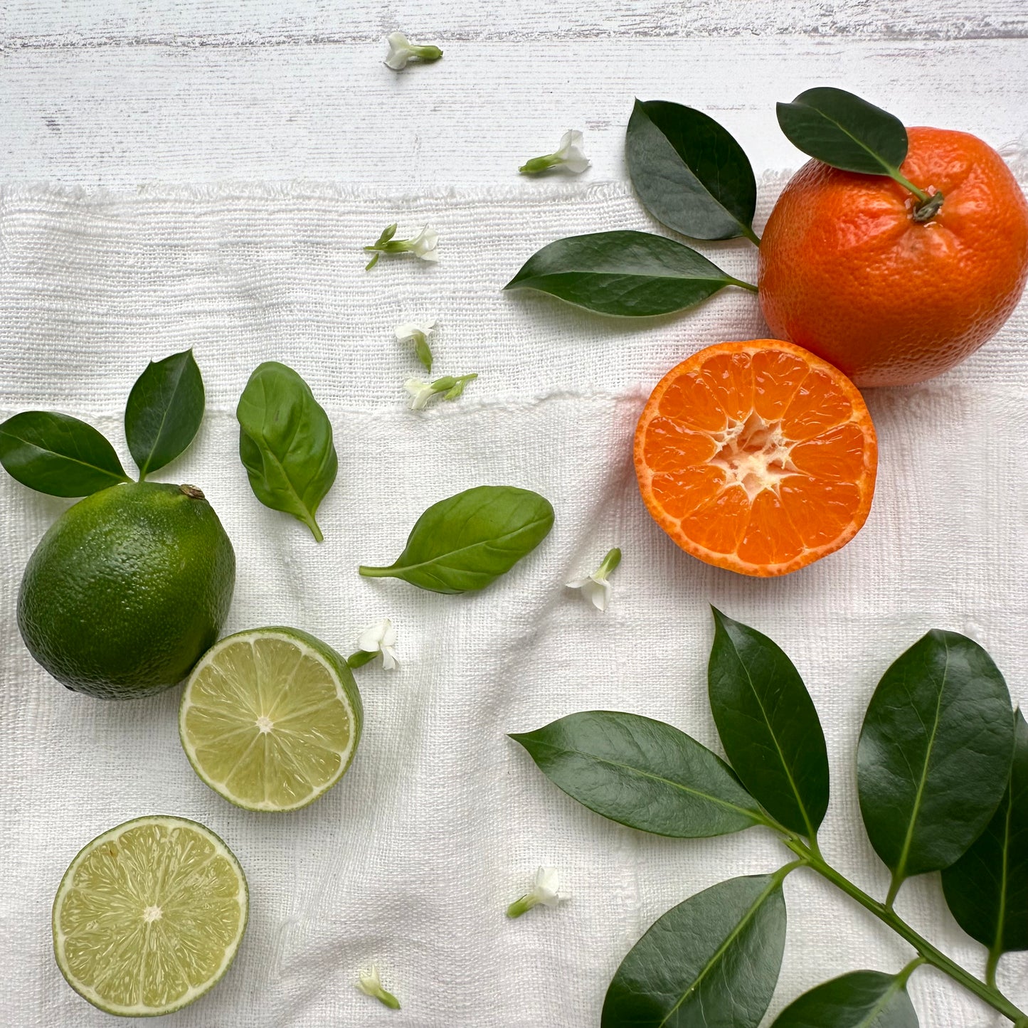 Three Wick Candle - Lime, Basil and Mandarin